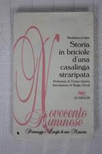 NOVECENTE RIMINESE: Storia di una casalinfa straripata